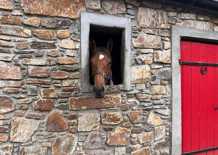 Robins Rest At The Дом отдыха *